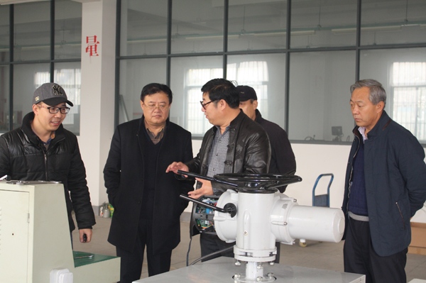 智能型茄子网站下载APP執行機構扭矩測試