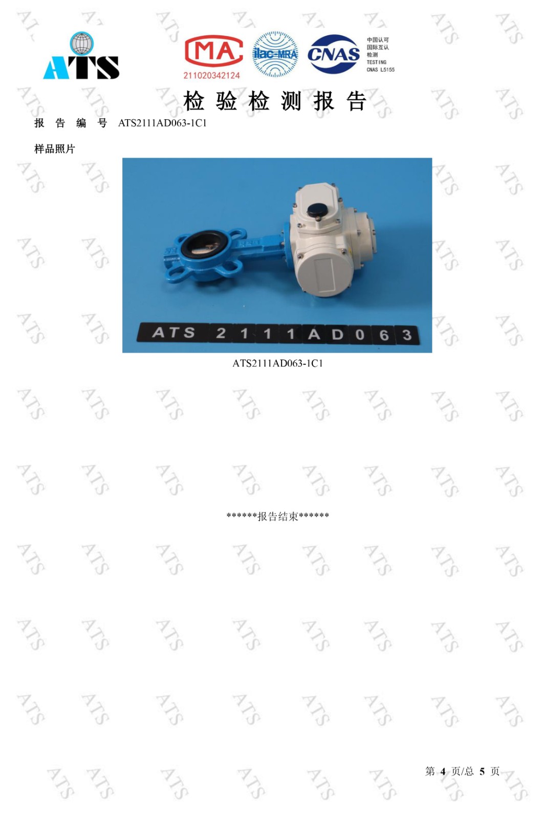 茄子网站下载APP閥檢驗檢測報告